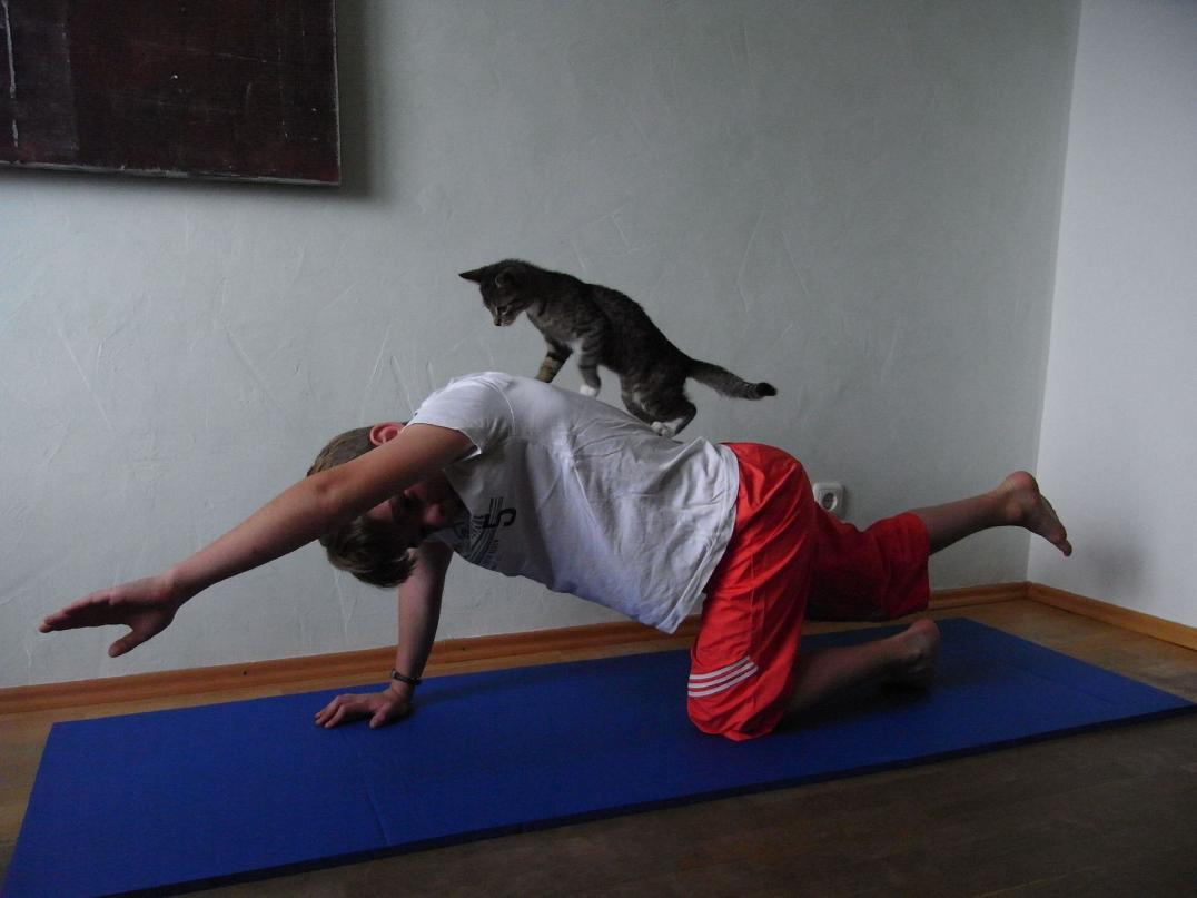 Yoga-Übung "Die Katze" - Kinder-Yoga - Pilates beim Kinderturnen