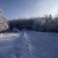 Foto - Winterimpressionen 5